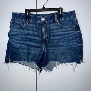 American Eagle Outfitters Dark Blue Jean Shorts